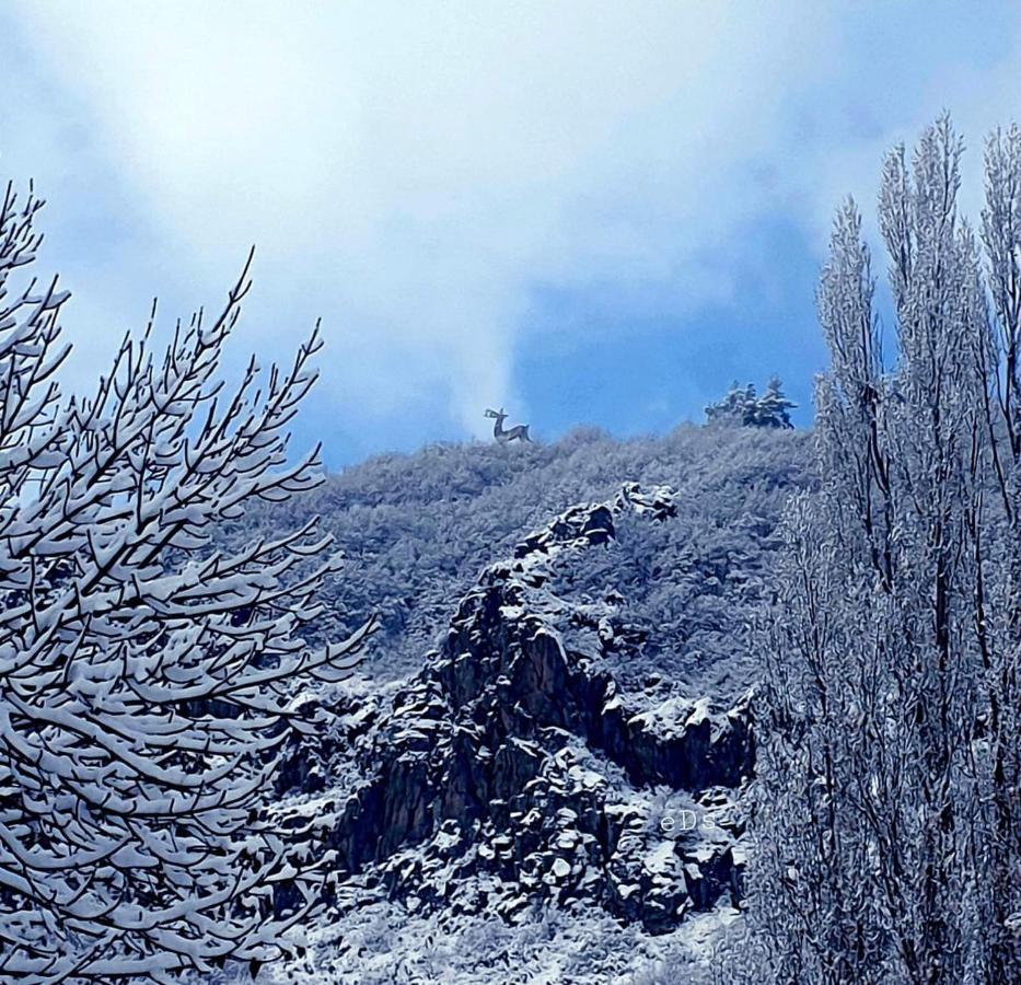 Hasi Hotel Jermuk Exterior photo